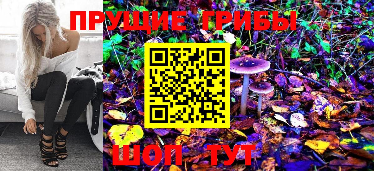 Таганрог  Псилоцибиновые грибы Cubensis  Вход с VPN  Псилоцибиновые грибы Cubensis 